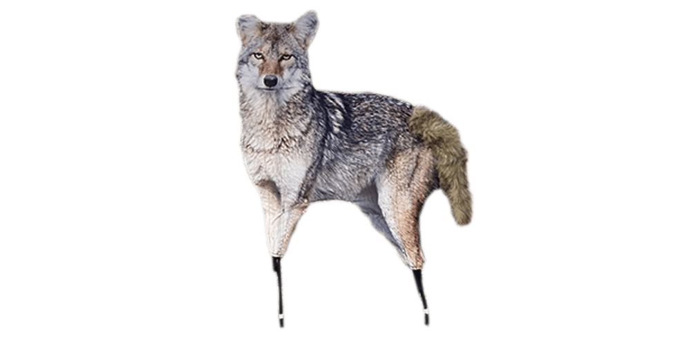 Predator Hunting Kits for Beginners