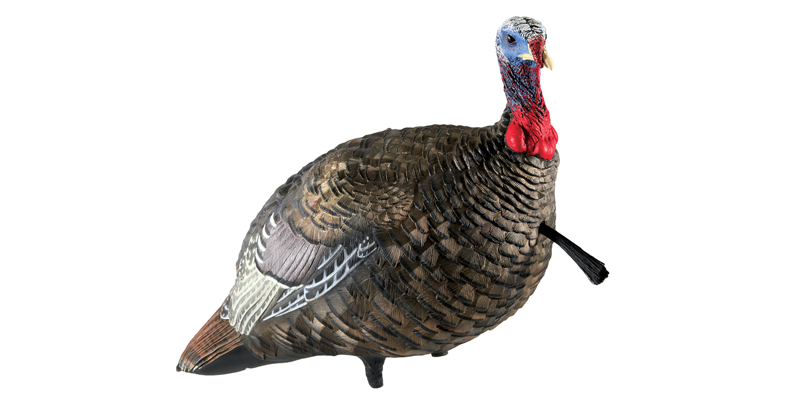 The AvianX Jake: Gear for Western Turkey Hunting