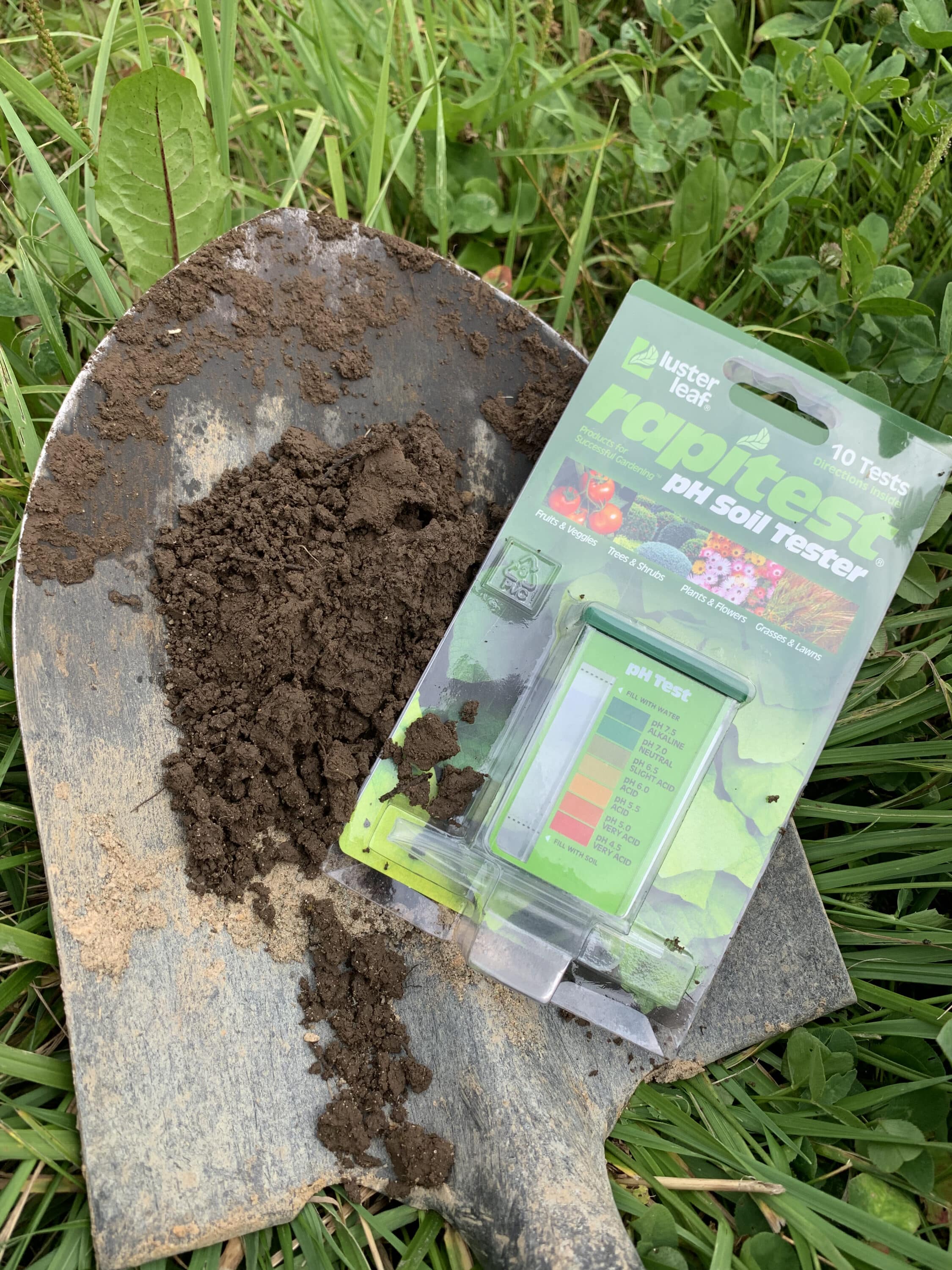 A soil pH test can help you see whether your current soil conditions are ideal for your specific planting.