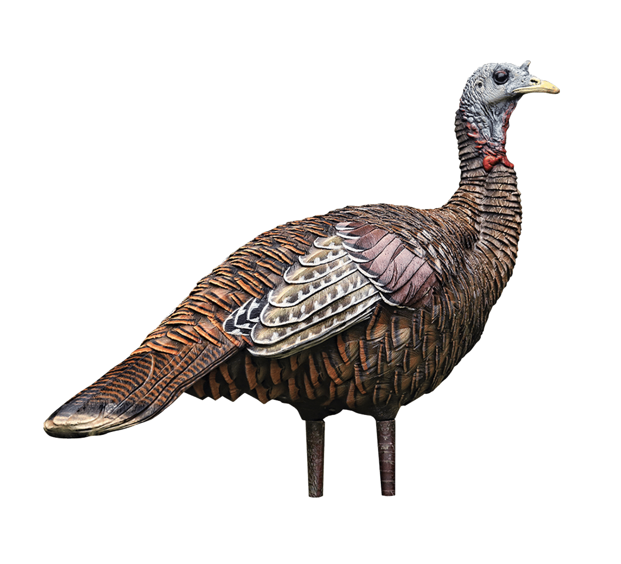 Avian X LCD Lookout Hen