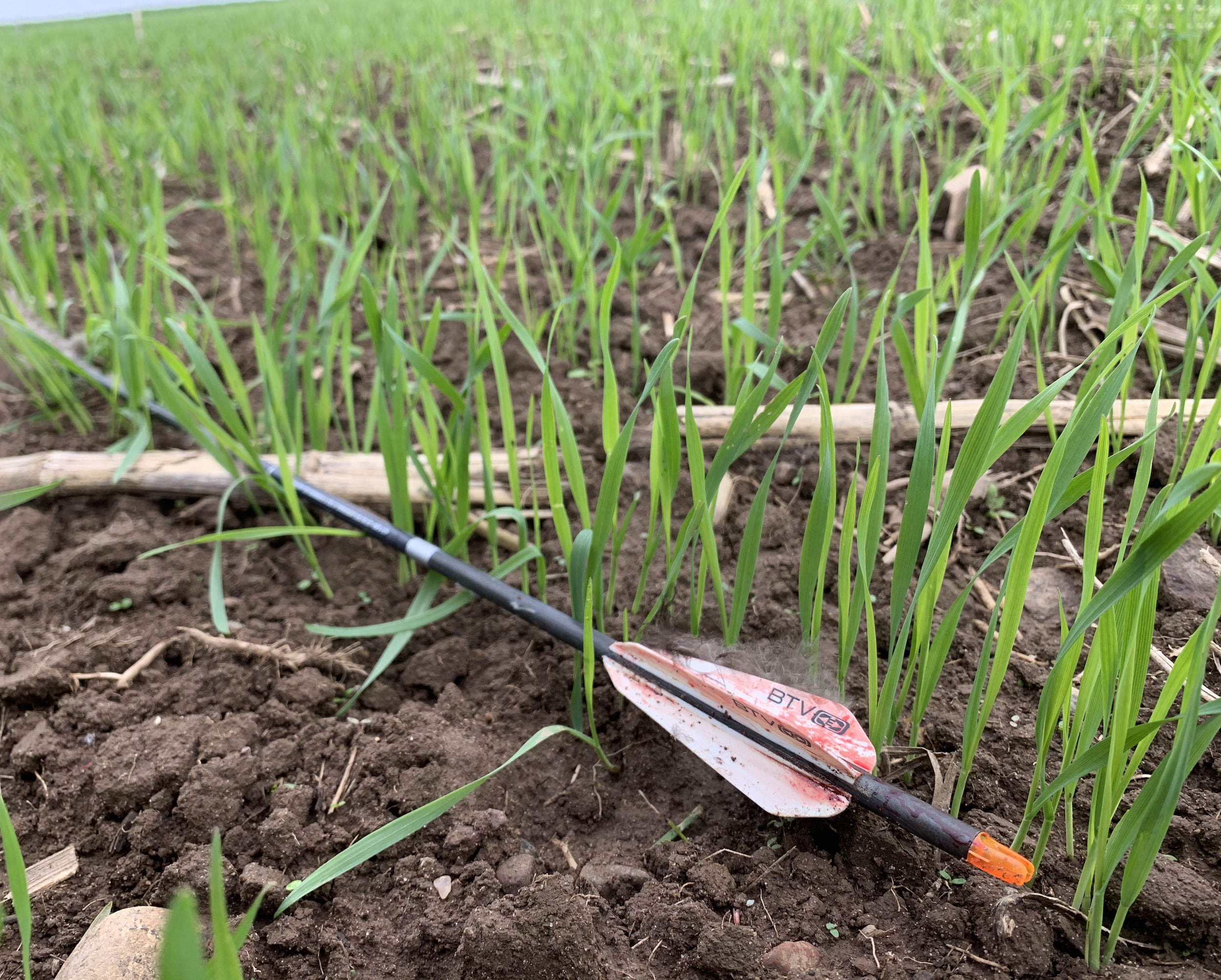 When you get your opportunity to shoot a gobbler, slow down and take your time. Rushed shots are a huge reason that folks don’t get it done with the bow. Slow down, aim well, and make it count.